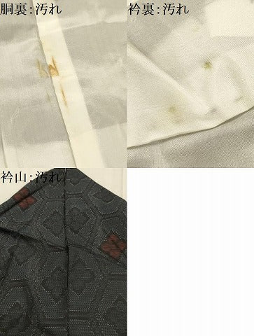平和屋着物■本場大島紬 亀甲花文 正絹 逸品 AABJ1931sx