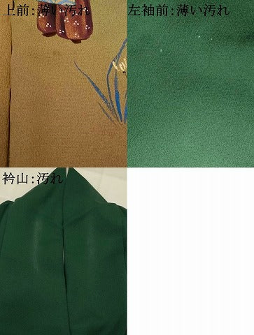 平和屋着物■訪問着 人物文 暈し染め 金銀彩 正絹 逸品 AABJ2382st