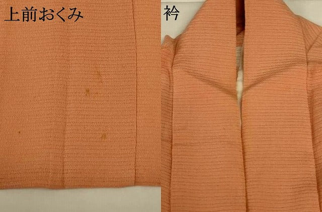 平和屋着物*夏物 本加賀友禅作家 梶山伸 色無地 絽縮緬 洒落柿色 正絹 逸品 AABJ2408jd