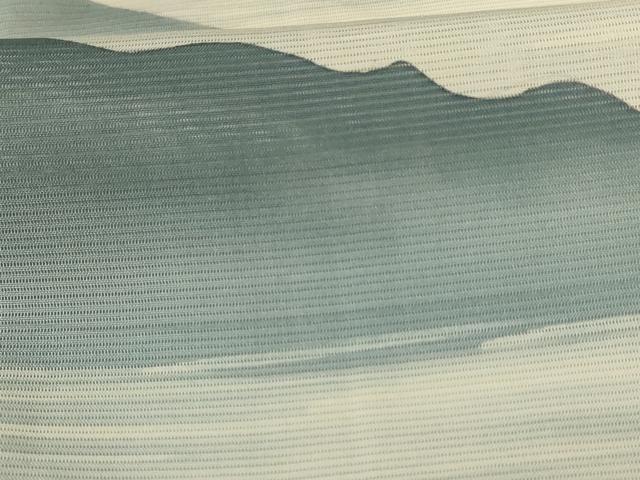 平和屋着物*夏物 訪問着 絽 風景文 暈し染め 正絹 逸品 AABJ2435jd