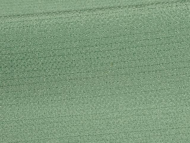 平和屋着物*夏物 本加賀友禅作家 成竹登茂男監修 色無地 絽縮緬 薄萌葱色 正絹 逸品 AABJ2459jd