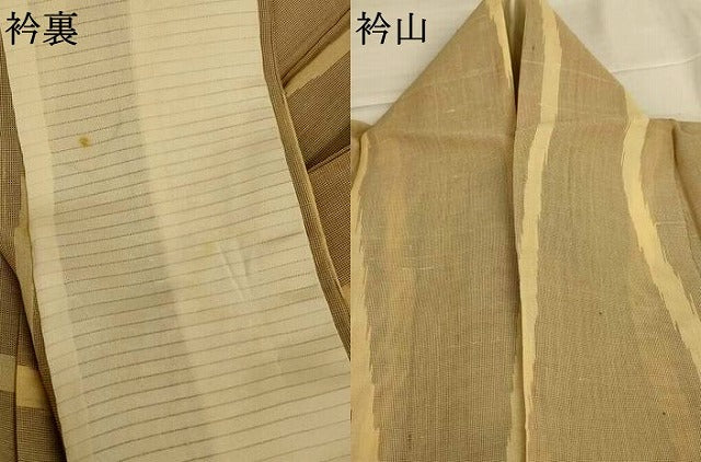 平和屋着物*夏物 紗紬 よろけ縞 正絹 逸品 AABJ2523jd