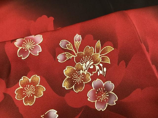 平和屋着物●豪華振袖 夜桜 暈し染め 黒地 金彩 正絹 逸品 AABJ2937ph