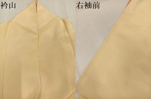 平和屋着物●訪問着 友禅 作家物 草花文 正絹 逸品 AABJ2944ph