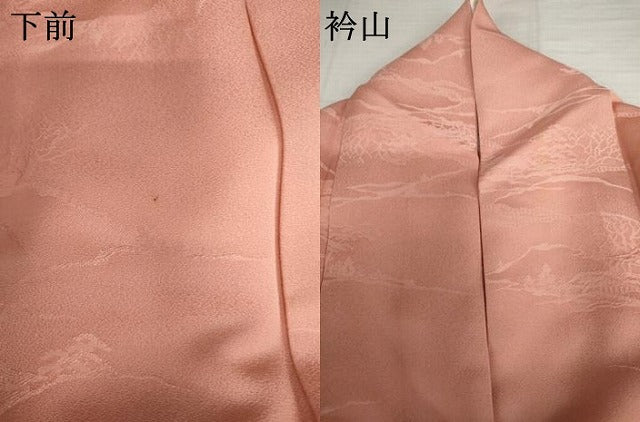平和屋着物●上質な色無地 風景地紋 珊瑚色 正絹 逸品 AABJ3192cs