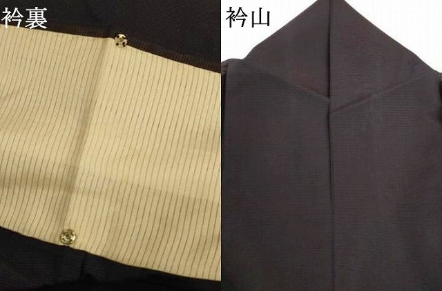 平和屋着物*夏物 色無地 絽 舞葉紋紗 紫黒色 正絹 逸品 AABJ3411jd