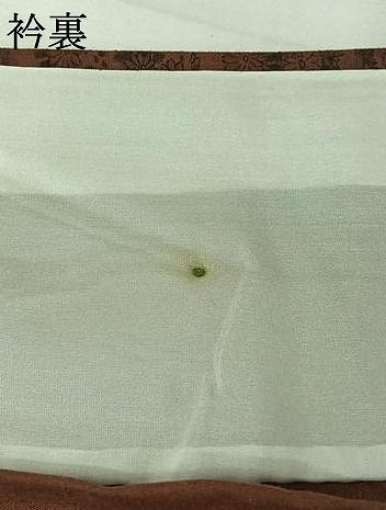 平和屋着物▽上質な小紋 単衣 風景花文 正絹 逸品 未使用 AABJ3620jh