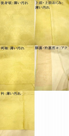 平和屋着物■訪問着 源氏車青海波 暈し染め 正絹 逸品 AABJ3644br
