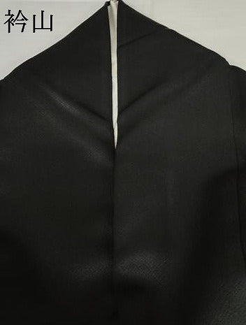 平和屋着物●豪華振袖 黒地 伊勢丹扱い 正絹 逸品 AABJ3696cs