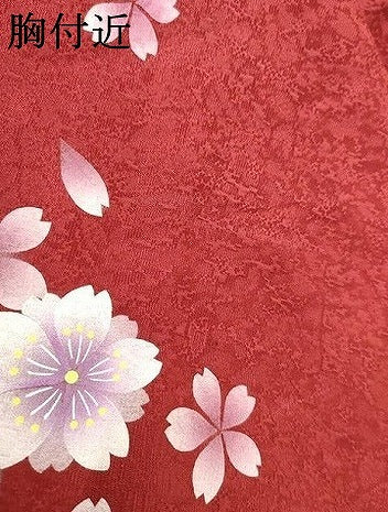 平和屋着物●豪華振袖 舞花文 暈し染め 正絹 逸品 AABJ3752cs