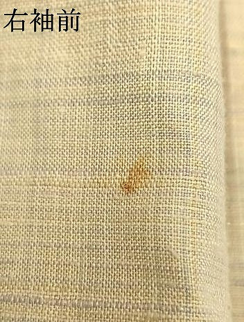 平和屋着物●上質な紬 枝花文 正絹 逸品 AABJ4331fy