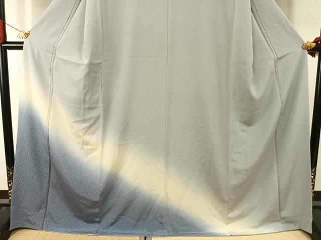 平和屋着物●訪問着 江戸小紋 霞文 暈し染め 正絹 逸品 未使用 AABJ4399fy
