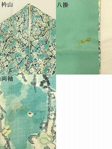 平和屋着物●本場染大島紬 手描き 枝梅文 正絹 逸品 AABJ4720fy