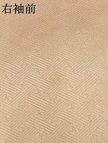 平和屋着物●訪問着 刺繍 誰が袖文 暈し染め 金彩 ロング丈 正絹 逸品 AABJ4728fy