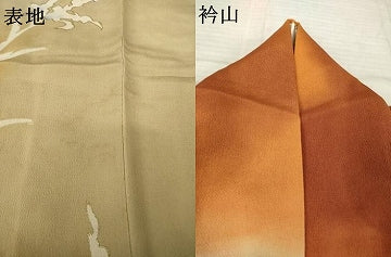 平和屋着物●訪問着 草花文 暈し染め 金彩 正絹 逸品 AABJ4965ck