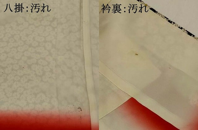 平和屋着物■上質な小紋 花づくし 黒地 正絹 逸品 AABJ5012st