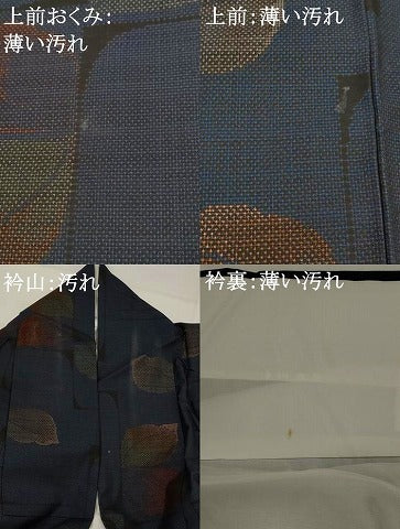 平和屋着物■本場大島紬 9マルキ 舞葉文 正絹 逸品 AABJ5024st