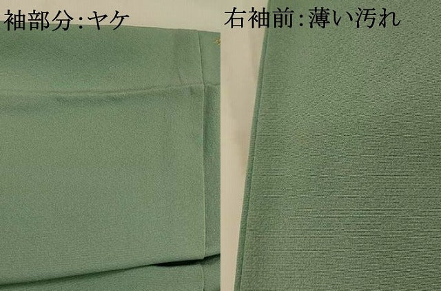 平和屋着物■訪問着 草花文 金彩 正絹 逸品 AABJ5027st