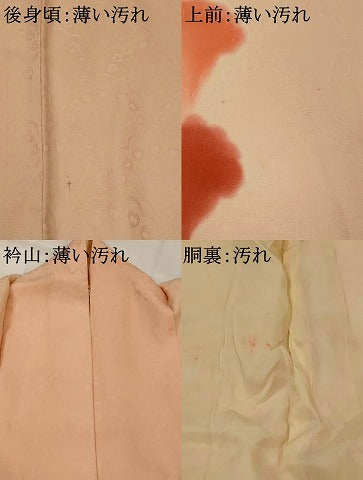 平和屋着物■訪問着 孔雀羽地紋 暈し染め 正絹 逸品 AABJ5032st