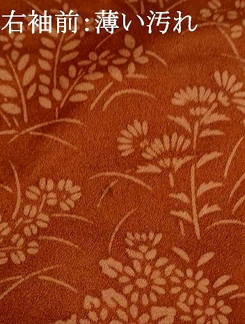 平和屋着物■訪問着 刺繍 草花文 金糸 正絹 逸品 AABJ5068st
