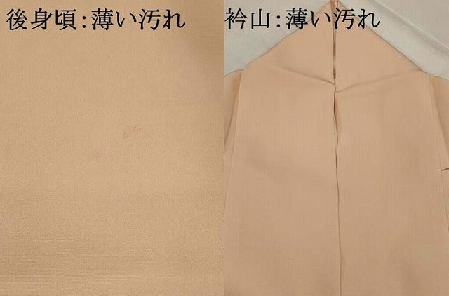 平和屋着物■訪問着 友禅 作家物 草花文 正絹 逸品 AABJ5111st
