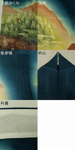 平和屋着物▽訪問着 単衣 風景文 暈し染め 正絹 逸品 AABJ6039jh