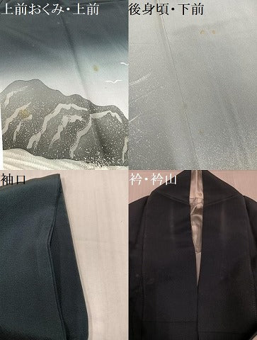 平和屋着物●訪問着 立波飛鳥文 暈し染め 正絹 逸品 AABJ6241ph