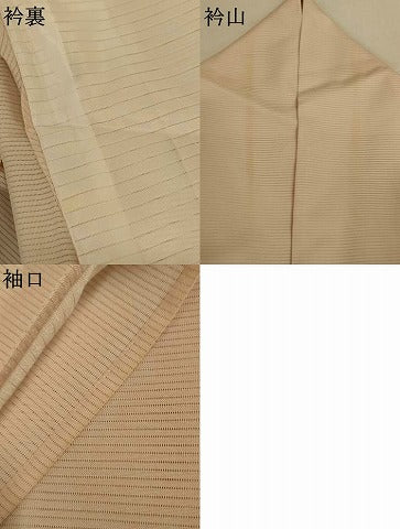 平和屋着物*夏物 訪問着 絽 友禅 草花文 暈し染め 洗える着物 AABJ6450jd