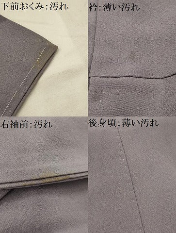 平和屋着物■色留訪問着 正倉院花文 金彩 正絹 逸品 AABJ7795sx