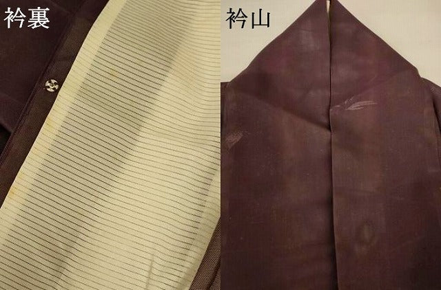 平和屋着物*夏物 小紋 紗 枝葉文 正絹 逸品 AABJ8080jd