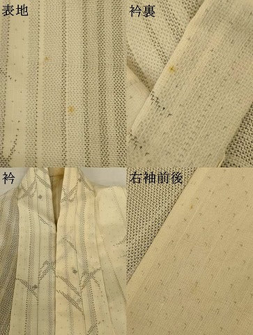平和屋着物*夏物 紗紬 枝葉間道 正絹 逸品 AABJ8083jd