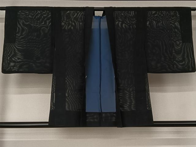 平和屋着物▽羽織 スリーシーズン 春夏秋 塵除け 黒地 正絹 逸品 AABJ8318jh