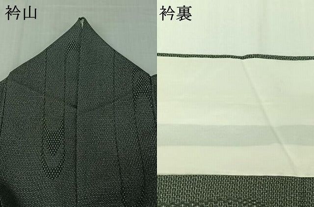 平和屋着物▽本塩沢 単衣 110亀甲 霞文 正絹 逸品 AABJ8357jh