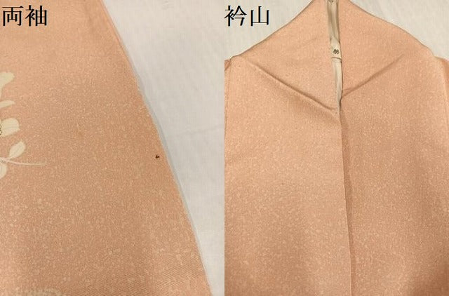 平和屋着物●訪問着 枝椿文 金彩 正絹 逸品 AABJ8414ph