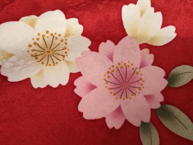平和屋着物●豪華振袖 舞桜 暈し染め 正絹 逸品 AABJ8667cs