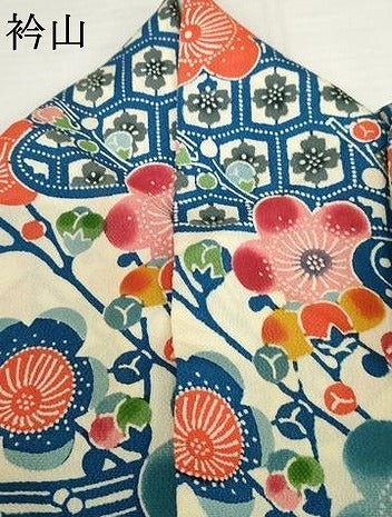 平和屋着物●豪華振袖 型染め 流水枝梅文 鬼しぼ縮緬 正絹 逸品 AABJ8671cs