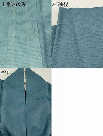 平和屋着物▽訪問着 無双 紗袷 紗×絽 手描き 枝花文 暈し染め 金彩 正絹 逸品 AABJ8750st