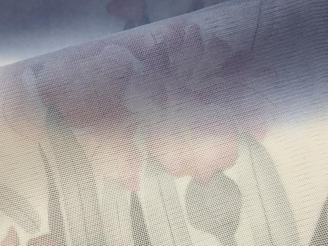 平和屋着物▽訪問着 無双 紗袷 紗×絽 手描き 草花文 暈し染め 正絹 逸品 AABJ8779st