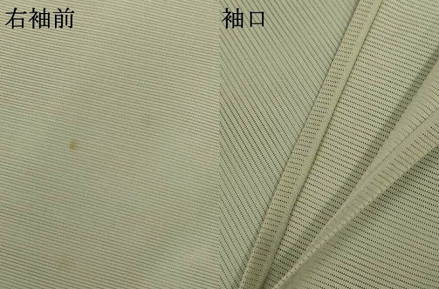 平和屋着物*夏物 訪問着 絽 草花文 金彩 正絹 逸品 AABJ9061jd
