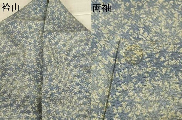 平和屋着物*夏物 小紋 絽 葉尽くし 正絹 逸品 AABJ9101jd