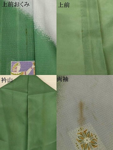 平和屋着物*夏物 訪問着 絽 壁画文 金彩 洗える着物 AABJ9109jd