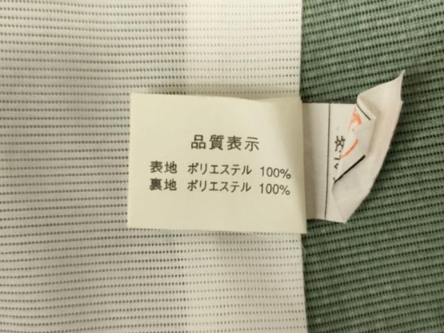平和屋着物*夏物 訪問着 絽 壁画文 金彩 洗える着物 AABJ9109jd
