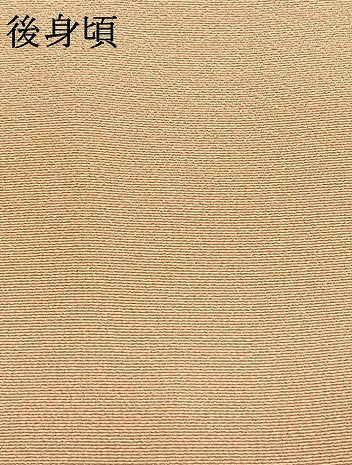 平和屋着物●訪問着 駒刺繍 花鳥文 暈し染め 金彩 ロング丈 正絹 逸品 AABK1133fy
