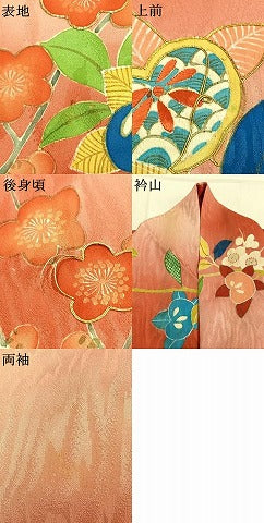 平和屋本店●アンティーク 大正ロマン 訪問着 枝花文 暈し染め 金糸 金彩 正絹 逸品 AABK1246fy