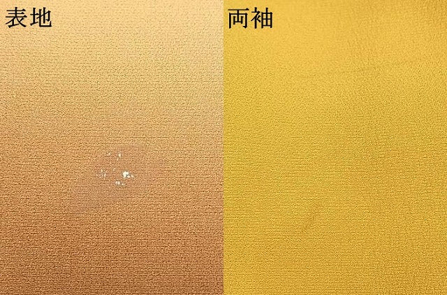 平和屋着物●豪華振袖 花蝶文 暈し染め 金銀彩 正絹 逸品 AABK1308fy