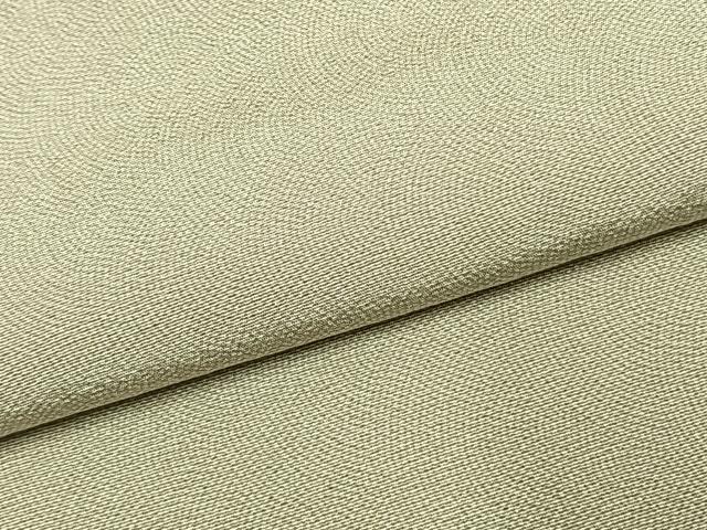 平和屋着物●江戸小紋 鮫小紋柄 ロング丈 正絹 逸品 AABK1320fy