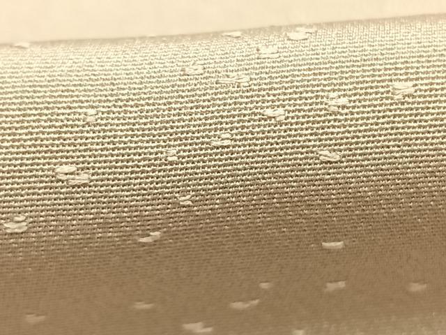 平和屋着物●上質な色無地 霞地紋 白橡色 正絹 逸品 未使用 AABK1578fy