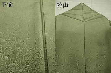 平和屋着物●江戸小紋 彫士:住田双光・染士:服部光擴 立波文 正絹 逸品 AABK1842ck