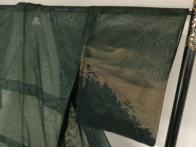 平和屋着物▽訪問着 無双 紗袷 紗×紗 風景文 暈し染め 正絹 逸品 未使用 AABK2055jh