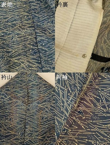 平和屋着物*夏物 紗紬 藍 型染め 雀 正絹 逸品 AABK2674jd